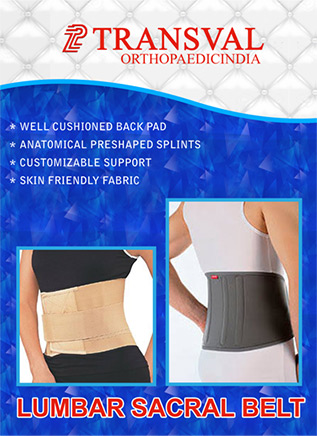 Transval Lumbar Support